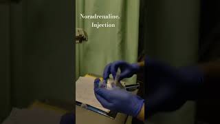 Noradrenaline Injection nursinglife student viralvideo viralshort youtubeshorts mini [upl. by Falconer]