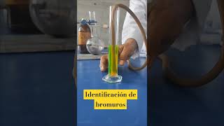 Identificación de bromuro quimicainorganica ciencia [upl. by Farlee542]