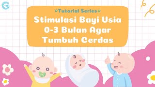 Stimulasi Bayi 03 Bulan Fokus ke Stimulasi Sensorik [upl. by Thamora]