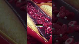 Top 8 Foods that Boost Good Cholesterol Naturally youtubeshorts cholesterol food hearthealth [upl. by Dworman]