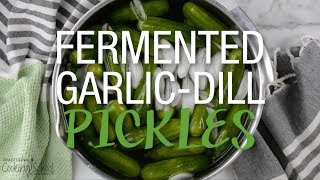 Old Fashioned LactoFermented Garlic Dill Pickles [upl. by Droffats]