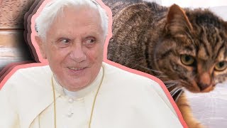 Papst Benedikt XVI  Spurensuche in Brixen Teaser [upl. by Jermain597]