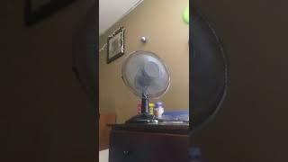 2 Mainstays desk fans and Pelonis box fan running on all 3 speeds [upl. by Kcirret]