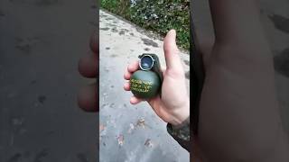 Do you know how grenades work💣🤔🤔facts shortvideos Grenadebomb [upl. by Erdrich155]