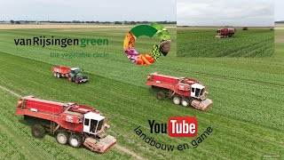 Doperwten oogs Van Rijsingen Sourcee Scheemda oost Groninger farmers [upl. by Nitniuq611]