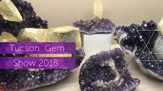 Tucson 🌵 Gem Show Vlog 📹 2018 [upl. by Kazim]