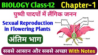 12th bio  class 12 sexual reproduction in flowering plants in hindi  पुष्पीय पौधों में लैंगिक जनन [upl. by Becka979]