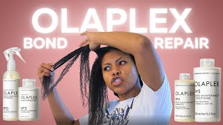 🙅🏾‍♀️Heat damage vs Olaplex  does it work tho [upl. by Golanka561]