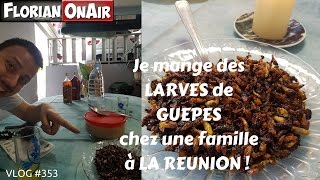 Je mange des LARVES DE GUEPES chez une famille à LA REUNION  VLOG 353 [upl. by Ikkela875]