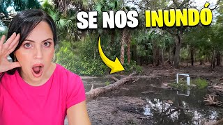 La Finquita Bonita Inundada y SIN CORRIENTE 😧 Mis Padres Se Mudan 🔥 Sandra Cires Vlog [upl. by Aisatsan546]