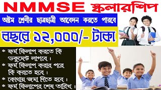 NMMSE SCHOLARSHIP ONLINE APPLICATION 2024  CLASS 8 SCHOLARSHIP EXAM FORM FILLUP  HOW TO APPLY NMMS [upl. by Grae385]