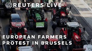 LIVE European farmers protest in Brussels  REUTERS [upl. by Anan]