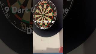 9 Dart Challenge Day 1 darts [upl. by Oirrad]