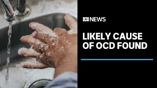 Researchers find likely cause of obsessivecompulsive disorder  ABC News [upl. by Yllime]