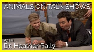 Why Animals Don’t Belong on Talk Shows [upl. by Aidni]