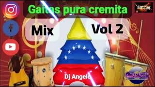 Gaitas pura cremita Mix Vol 2  Dj Angelo y MTK Galaxia 🇻🇪 [upl. by Allina]