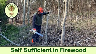 Growing Trees for Firewood  Coppicing  Smallholding UK [upl. by Naynek]