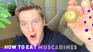 How to Eat Muscadine Grapes  Scuppernongs [upl. by Osric]