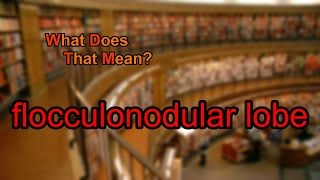 What does flocculonodular lobe mean [upl. by Kolnos]