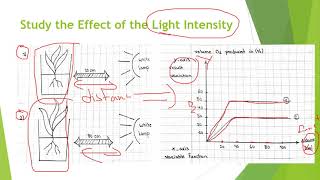 03 Biology G10  Autotrophy and Photosynthesis  W03 [upl. by Alejandro]