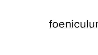 How to pronounce foeniculum [upl. by Enhpad622]