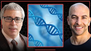 What genes are associated with longevity  Peter Attia amp Nir Barzilai [upl. by Oijimer]