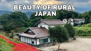 The Beauty of Rural Japan During Higanbana Season  Akiya House Future amp Countryside Living [upl. by Nosnorb]