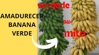 AMADURECER BANANA VERDE VERDADES OU MITO [upl. by Fee28]