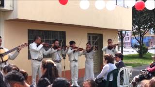 Mariachi cristiano feliz cumpleaños  mariachi cristiano bogota [upl. by Sivatnod]