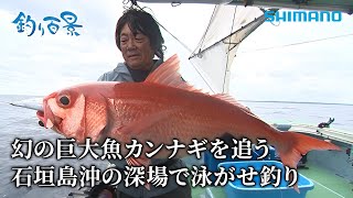 【釣り百景】528 幻の巨大魚カンナギを追う 石垣島沖の深場で泳がせ釣り [upl. by Nnaesor]