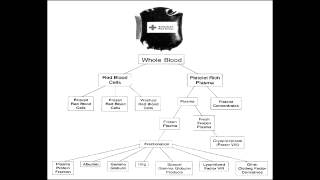 Blood Transfusion Therapy  Packed RBCs Platelets Fresh Frozen Plasma amp Cryoprecipitate [upl. by Mapel]