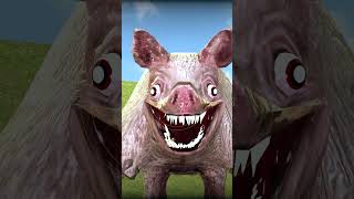 SECRET ZOOCHOSIS ANIMALS  TRANSFORMATION INTO MUTANTS in Garrys Mod  zoochosis zoo [upl. by Aun]