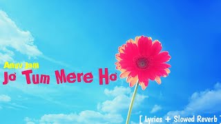 Anuv Jain  Jo Tum Mere Ho  Lyrics  Slowed Reverb  Aareo [upl. by Elery]