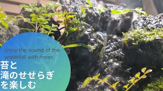 苔と滝のせせらぎを楽しむ【Enjoy the sound of the waterfall with moss】 [upl. by Atinus316]