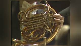 Bruckner 9  Horn solo  movement 1 [upl. by Ellebasi78]