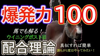 【ウイニングポスト10】爆発力100の配合理論紹介〖安定感がある方法で実践／初心者向け〗 [upl. by Binky]