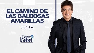 Dante Gebel 739  El camino de baldosas amarillas [upl. by Dnumyar]