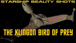 16 Beauty Shots The Klingon Bird of Prey Blade of Beauty [upl. by Maybelle393]