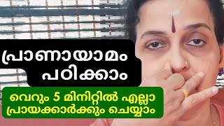 വീട്ടിലിരുന്നു പ്രാണായാമം ചെയ്യാം  how to do pranayama malayalam yogaforeveryone elderly [upl. by Busby]