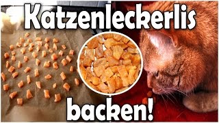 Katzenleckerlis selber backen DIY [upl. by Ybocaj]