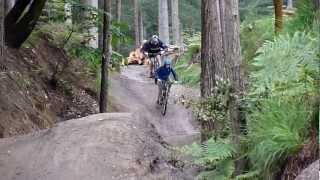 Swinley Forest Bike Tracks  July 2012 [upl. by Jann]