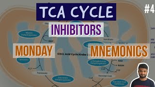 Citric Acid Cycle Inhibitors Mnemonic TCA Cycle Inhibitors Mnemonic Monday Mnemonic Medic Addict [upl. by Norean]