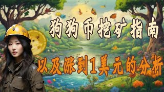 狗狗币要起飞？先从挖矿开始doge当矿工 [upl. by Eserahc]