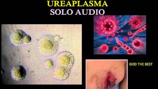 Ureaplasma🎧 Audio 🎧😀medicina [upl. by Ahsiloc]