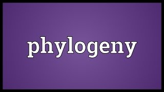 Phylogeny Meaning [upl. by Ollie599]