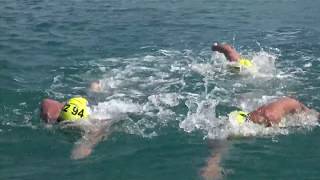 2017 Bosphorus CrossContinental Swim [upl. by Naraa]