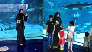 Fakieh Aquarium فقيه أكواريوم in JeddahAquarium Vlog JeddahPakistani Vlogger In Saudia [upl. by Htez]