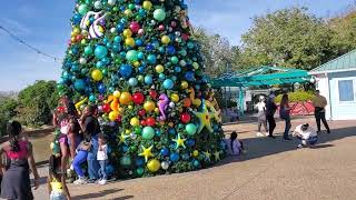 SeaWorld Orlando Christmas Tree Orlando Fl 🇺🇸 With Music By Captain Johnny [upl. by Yllime]