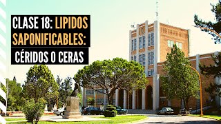 Lípidos Saponificables Céridos o Ceras [upl. by Guttery403]