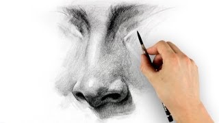 How to Draw a Nose  Step by Step [upl. by Anigal]